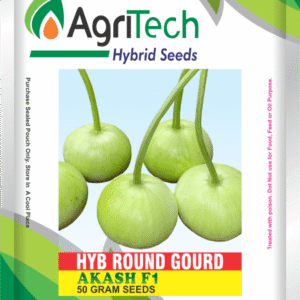 Akash F1 Hybrid Round Gourd(kaddu)-Agritech