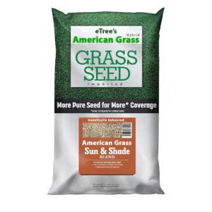American Grass Seeds Blend (Imported) - Premium Quality