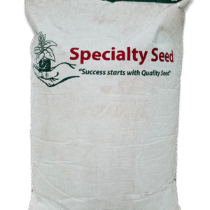 American Seed Turnip(shalgam) 25 kg Bag