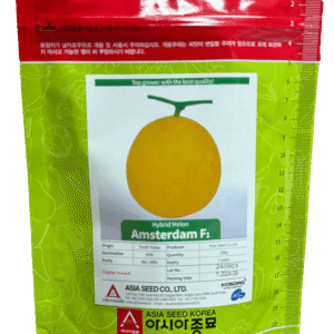 Amsterdam F1 Hybrid Melon Seeds Asia Seed Korea