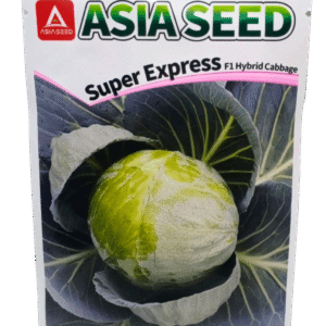 Asia Seed Super Express F1 Hybrid Cabbage Seed
