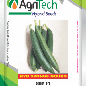 AT-802 F1 Hybrid Sponge gourd Seed-Agritech