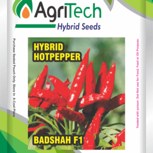 Badshah F1 Hybrid Hot Pepper Seed-Agritech