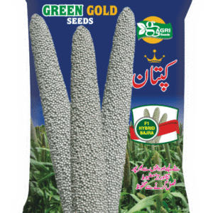 Bajra Kaptaan F1 Green Gold