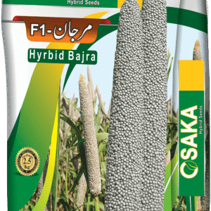 Bajra Marjan F1-Osaka