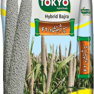 Bajra Super Shahansha F1 - Tokyo