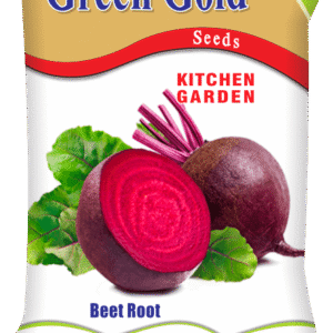 Beet Root (chukandar) Kitchen Garden