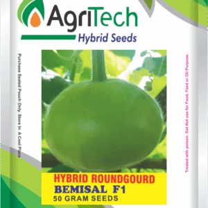 Bemisal F1 Hybrid Round Gourd(kaddu)-Agritech