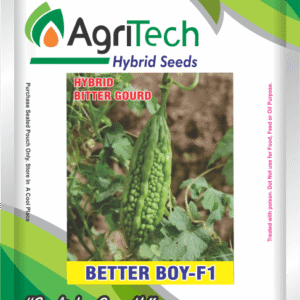 Better Boy F1 Hybrid Bitter Gourd Seed-Agritech