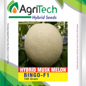 Bingo F1 Hybrid Melon Seeds