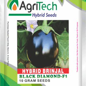 Black Diamond F1 Hybrid Brinjal Seeds -Agritech