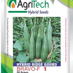 Bravo F1 Hybrid Ridge gourd-Agritech