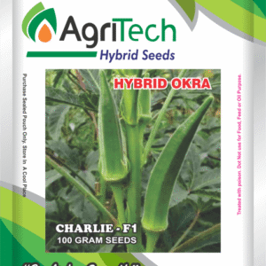 Charlie F1 Hybrid Okra-Agritech