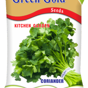 Coriander Kitchen Garden