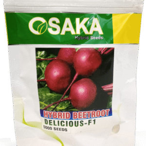 Delicious F1 Hybrid Beet Root Seeds