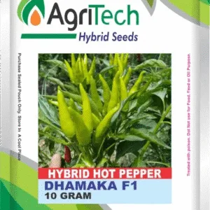 Dhamaka F1 Hybrid Hot Pepper Seed | 10gm