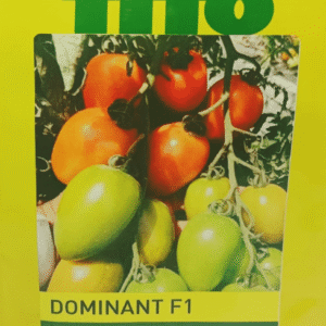 Dominant F1 Hybrid Tomato Seeds Packet -Fito