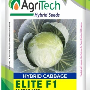 Elite F1 Hybrid Cabbage Seed-Agritech