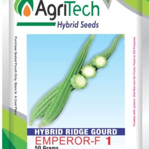 Emperor F1 Hybrid Ridge gourd-Agritech