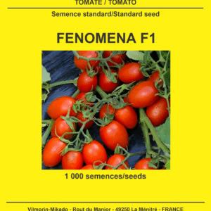 Fenomena F1 Hybrid Tomato Seeds Packet
