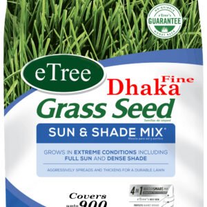 Fine Dhaka Grass Seeds (Imported) - Premium Quality