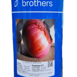 Flamingo F1-Hybrid Onion Seeds 500g -Bakker Brothers