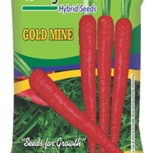 Gold Mine Carrot Seed Agritech 500 Gm
