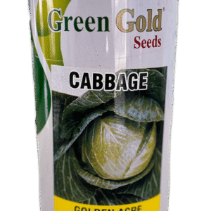 Golden Acre Cabbage Seed-Green Gold