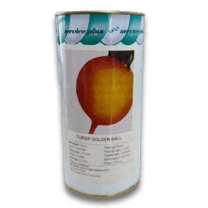 Golden Ball Turnip(shalgam) France