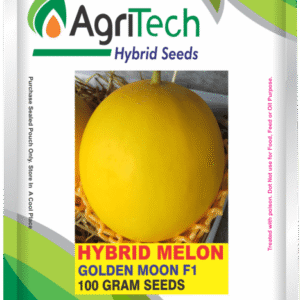Golden Moon F1 Hybrid Melon Seeds