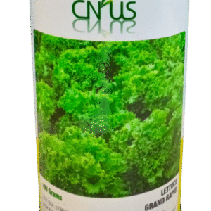 Grand Rapid Lettuce Seed 100gm Salad Beej Cnus China