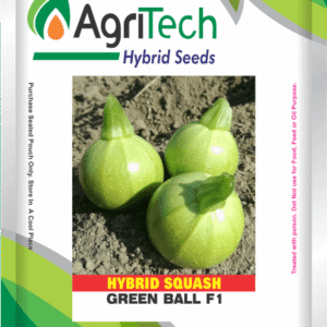 Green Ball F1 Hybrid Squash(Tindi)-Agritech