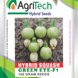 Green Eye F1 Hybrid Squash(Tindi)-Agritech