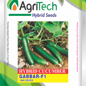 Hybrid Cucumber Seeds Packet Gabbar F1-Agritech