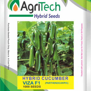 Hybrid Cucumber Seeds Packet Viza F1-Agritech