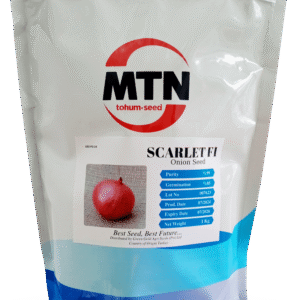 Hybrid Onion Scarlet F1-Onion Seed 1kg-MTN tohum