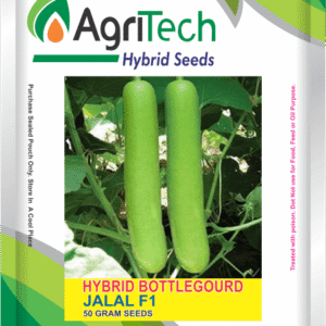Jalal F1 Hybrid Bottle Gourd(Louki Kaddu)-Agritech