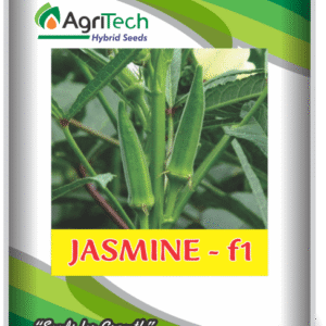 Jasmine F1 Hybrid Okra-Agritech