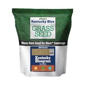 Kentucky Blue Grass Seeds (Imported) - Premium Quality