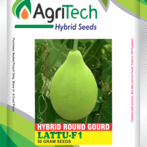 Lattu F1 Hybrid Round Gourd(kaddu)-Agritech