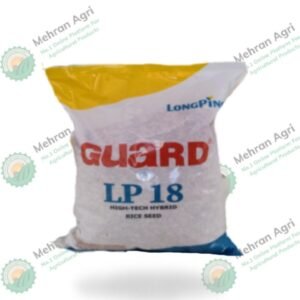 import placeholder for 3216