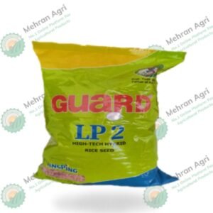 import placeholder for 3215