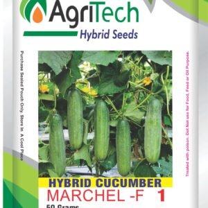 Marchel F1 Hybrid Cucumber Seeds-Agritech