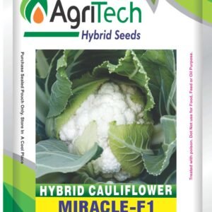 Miracle F1 Hybrid Cauliflower Seeds-Agritech