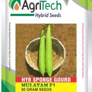 Mulayam F1 Hybrid Sponge gourd Seed-Agritech