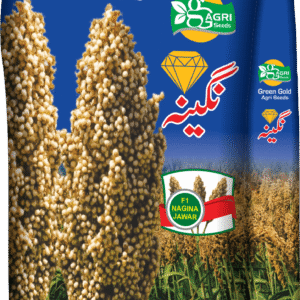 Nagina F1 Grain Sorghum