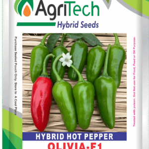 Olivia F1 Hybrid Hot Pepper Seed-Agritech