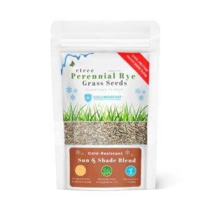 Perennial Rye Grass Seed - Cool Weather (Imported)