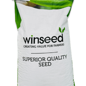 Polo winseed Peas Seeds 25kg Bag New Zealand