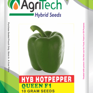 Queen F1 Hybrid Sweet Pepper Packet-Agritech